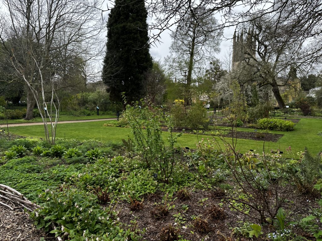 Perennial Garden view at the Oxford Botanic Garden and Arboretum. 
